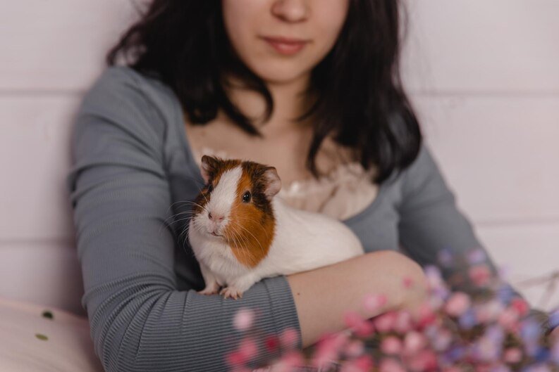 Choosing the Right Pet: Is a Guinea Pig Right for You in2024